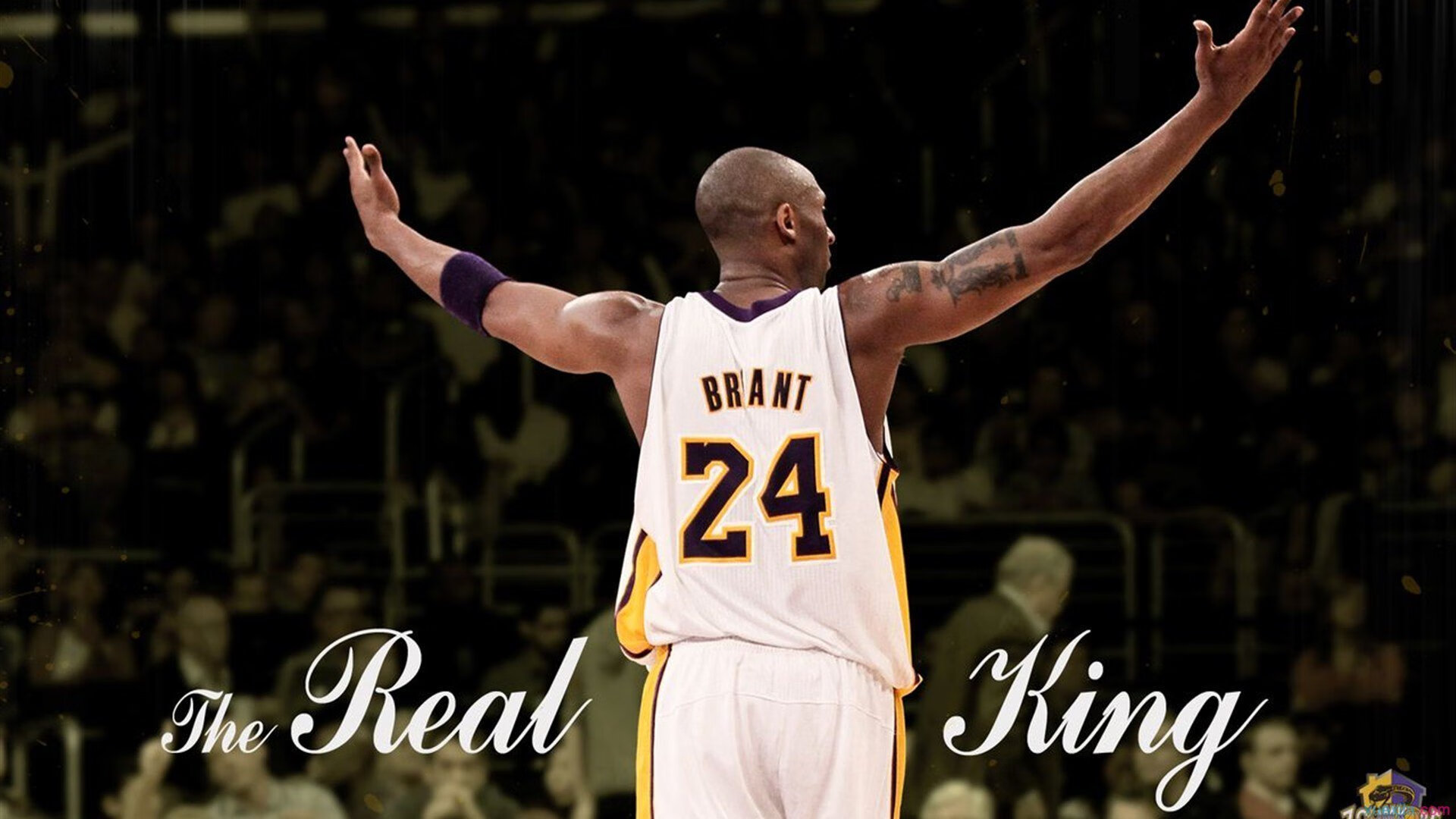 开云体育入口-一场北非沙漠的逆袭，当阿尔及利亚的星火点燃，穆勒便是燎原之风